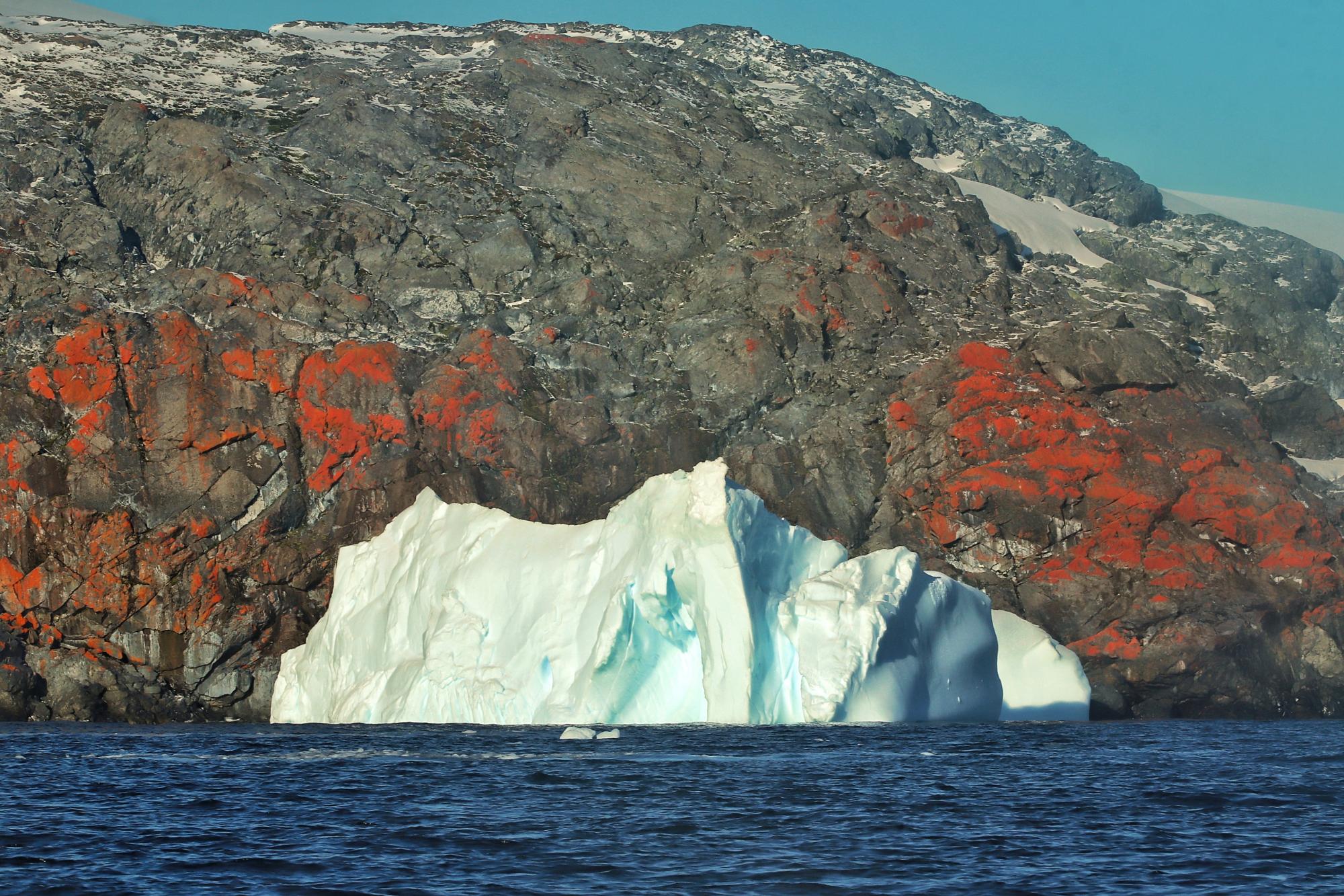 "Якщо Антарктида розтане – міста підуть під воду". Інтерв'ю з полярником про роботу на краю світу